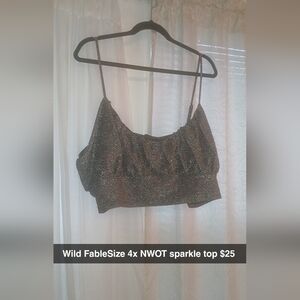 Wild Fable Glittery Black Crop Top